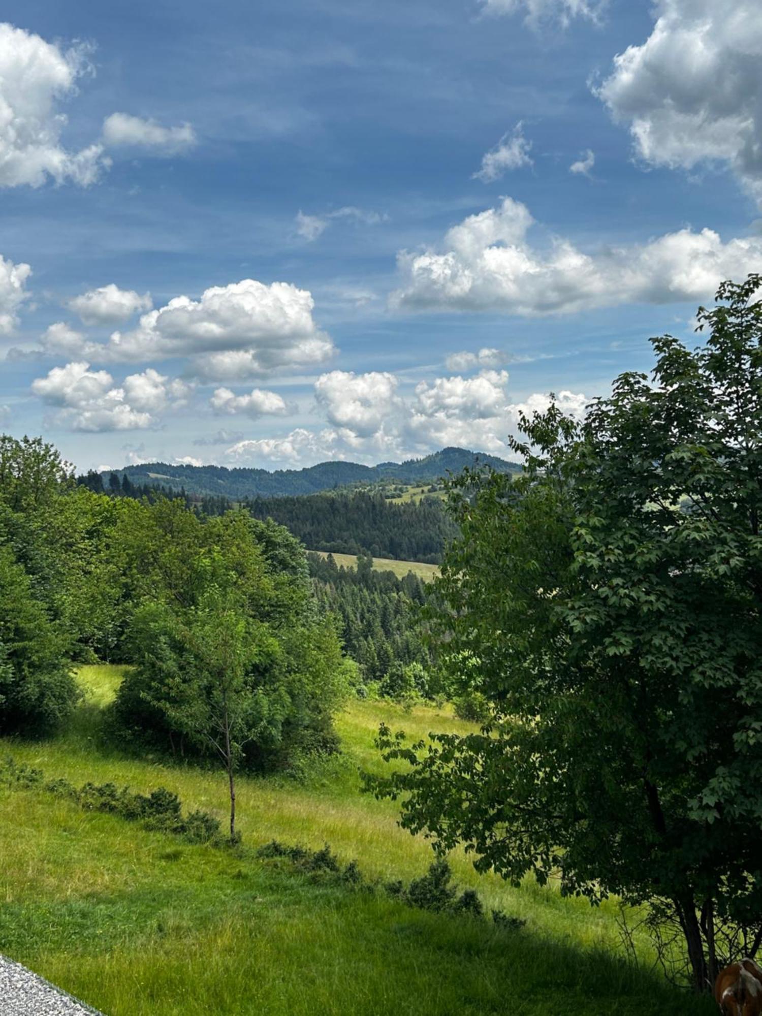 Acko Villa Oscadnica Bagian luar foto