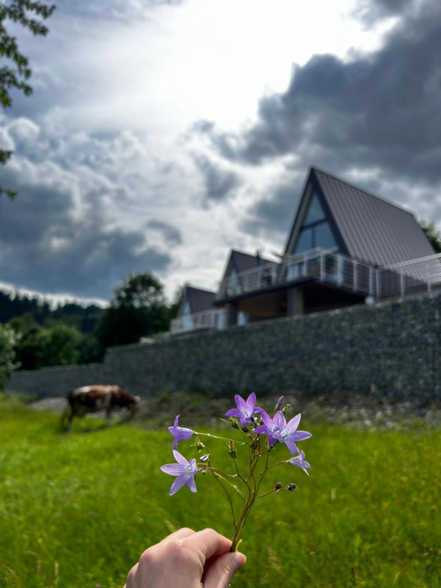 Acko Villa Oscadnica Bagian luar foto